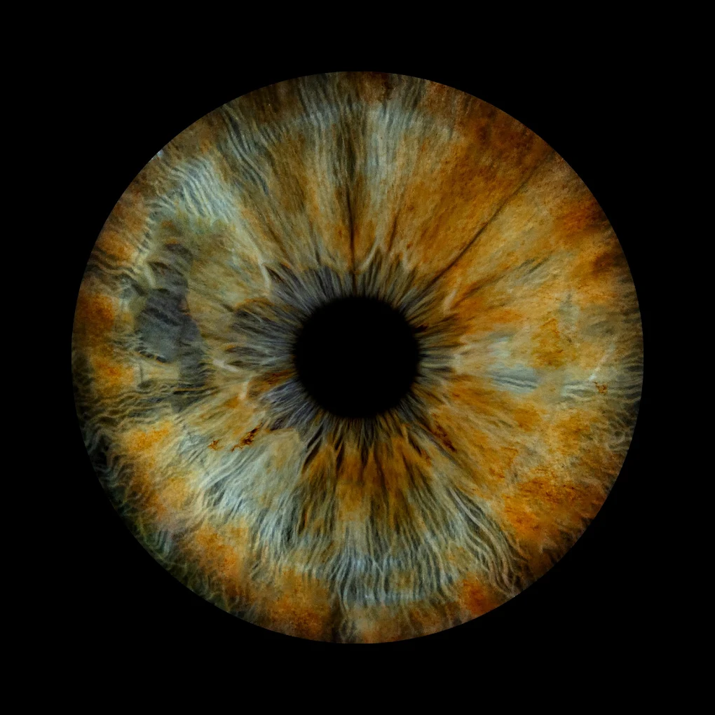 Zdjęcie tęczówki oka - Iris Galerie, porównanie jakości